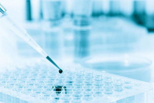 生物化工领域新风向 精密仪器驱动技术创新与产业升级